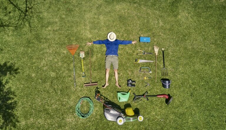 Lawn Tools you must have