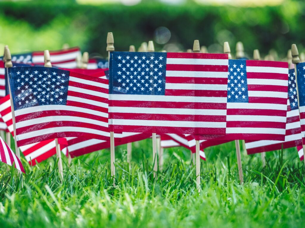 American flags on lush green grass for 4th of July