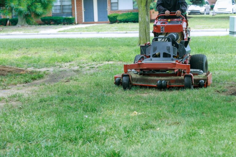 How to Choose the Best Lawn Mowing Services Near You