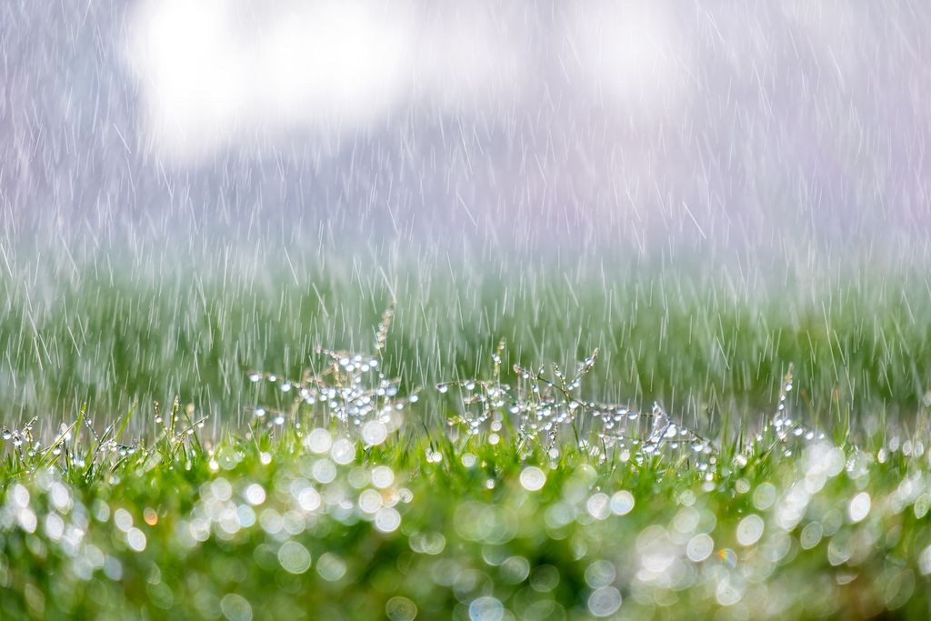 closeup of rain droplets falling down on green grass