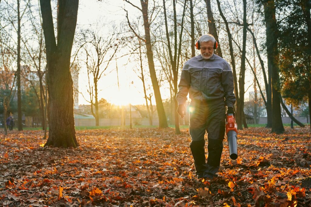 Blowing leaves with leaf blower.