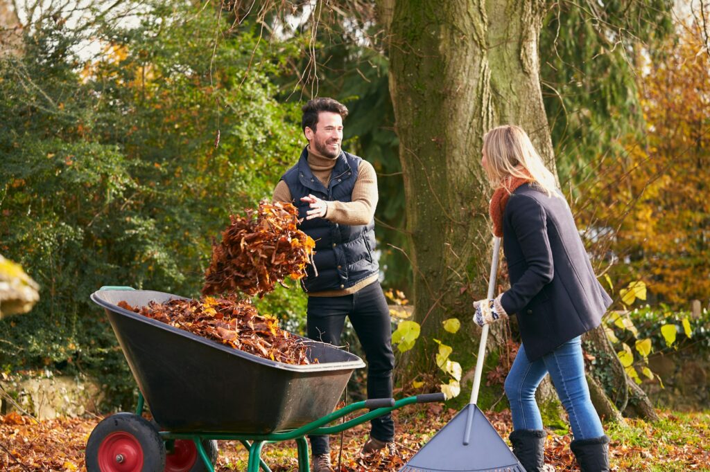 Couple Raking Autumn Leaves