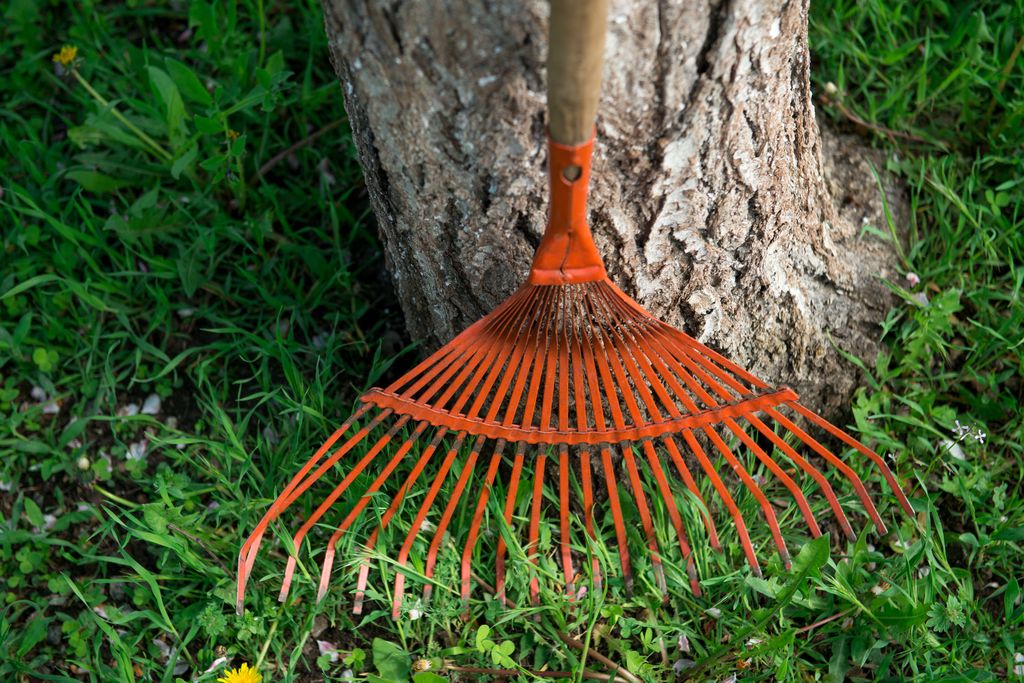 fan rake for cleaning green grass