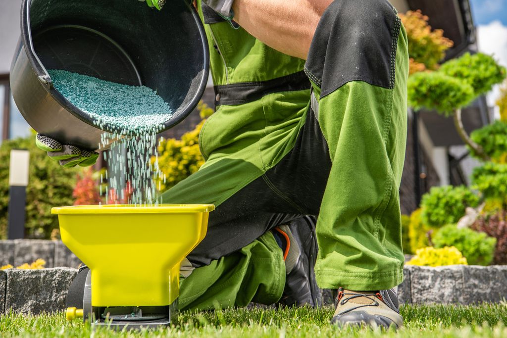 Gardener filling his handheld spreader with fertilizer granul.
