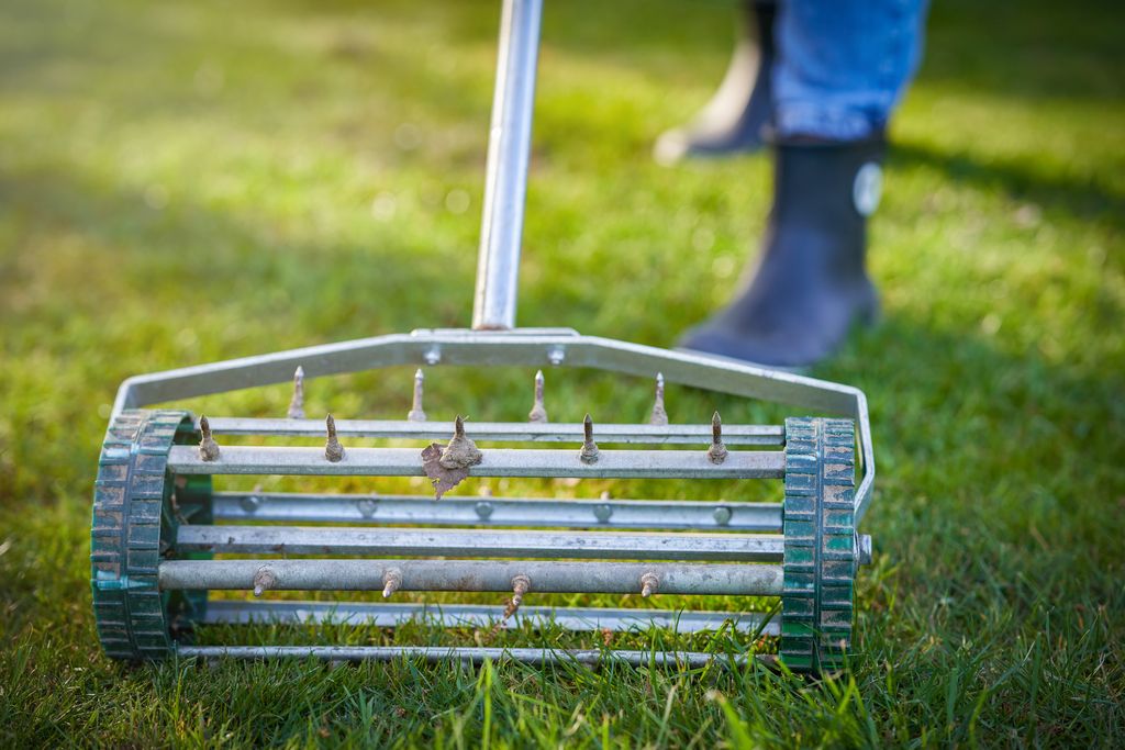 lawn aerator on the green grass