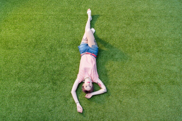 Best Grass Seed for a Lush Lawn