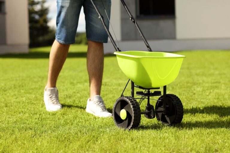 Lawn Fertilizer with Seeder