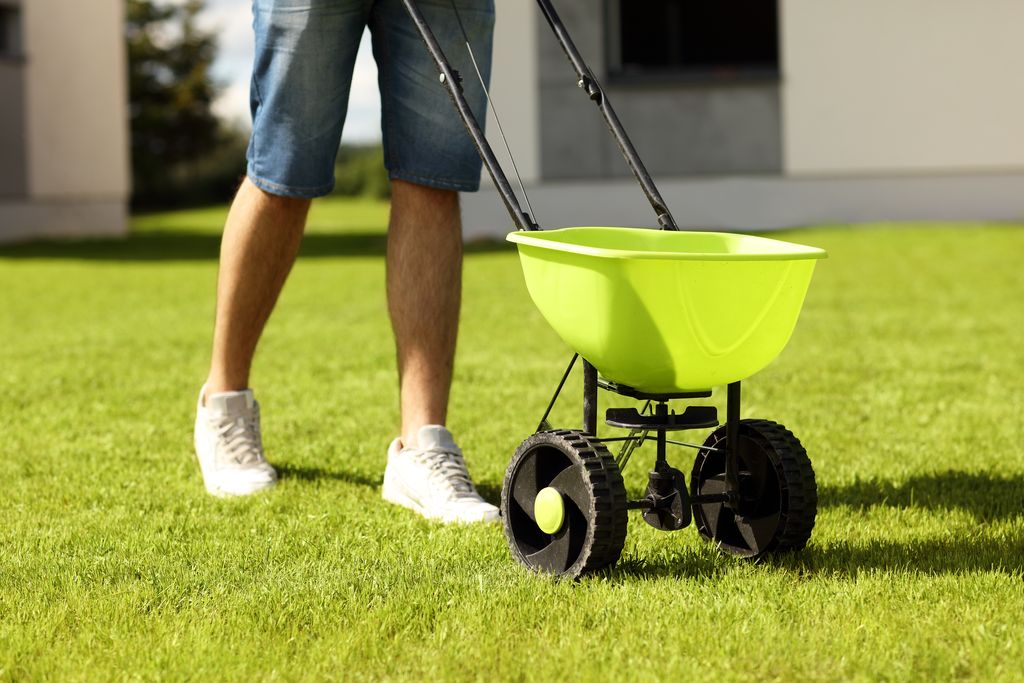 Overseeding with Seeder