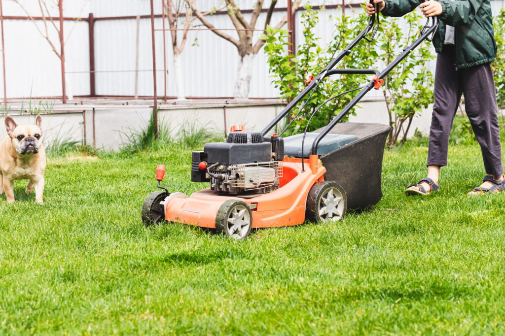 Gas Lawn mower on green grass.