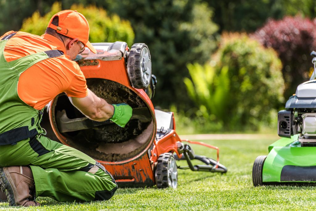 lawn mower care