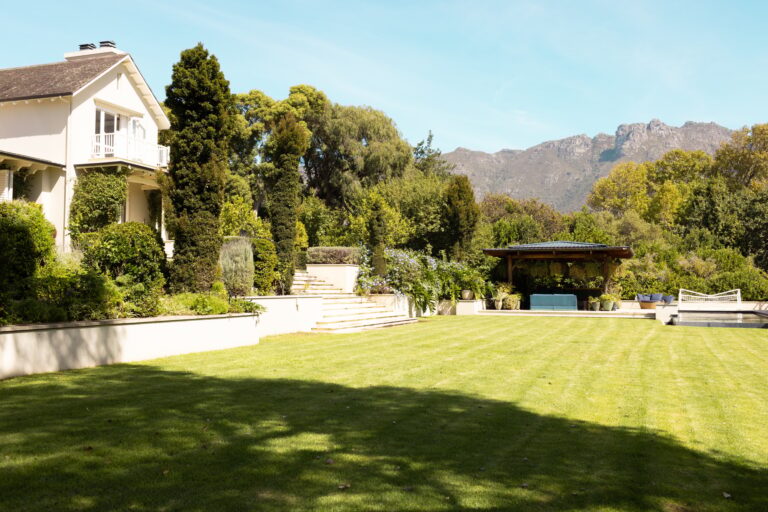 How to Get Rid of Weeds Permanently: A Step-by-Step Lawn Care Plan
