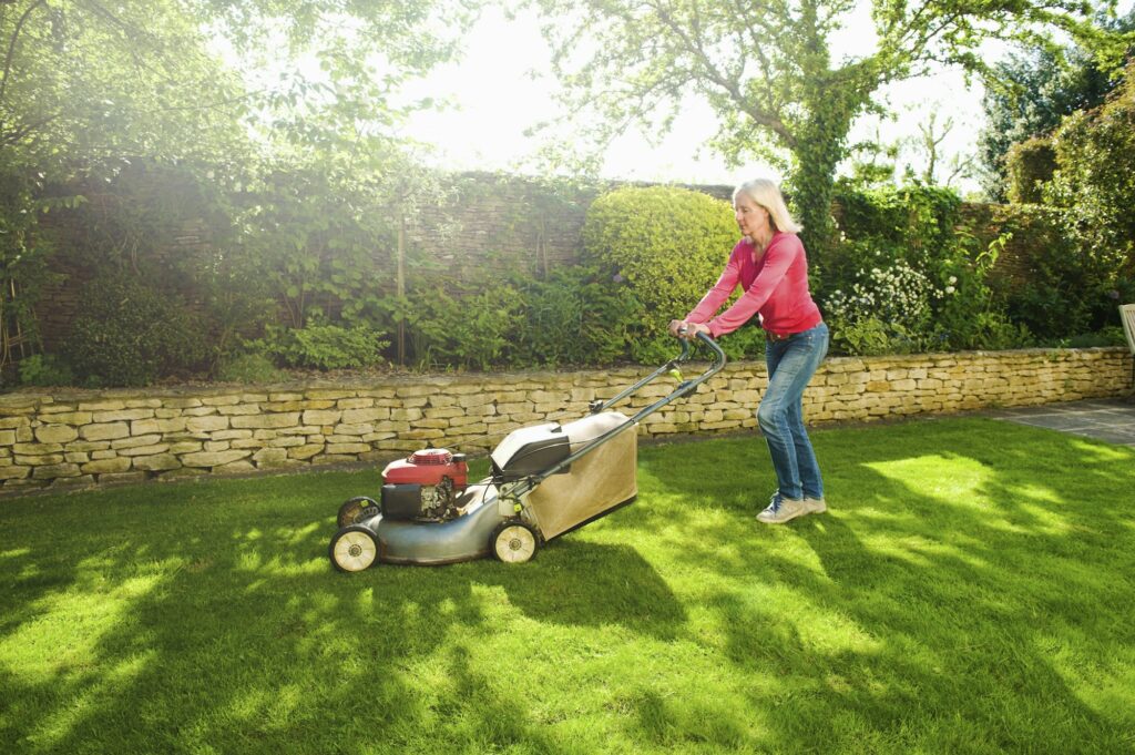 Mowing garden lawn with a push mower