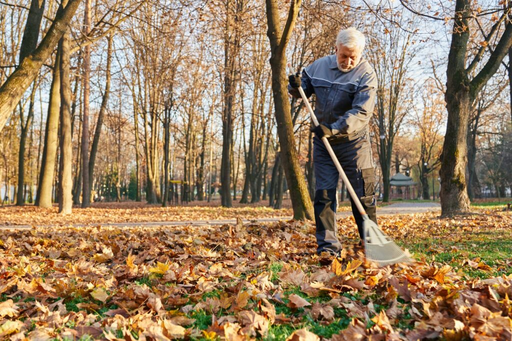 Raking the leaves