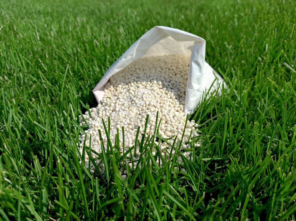 nitrogen fertilizer for grass lawn