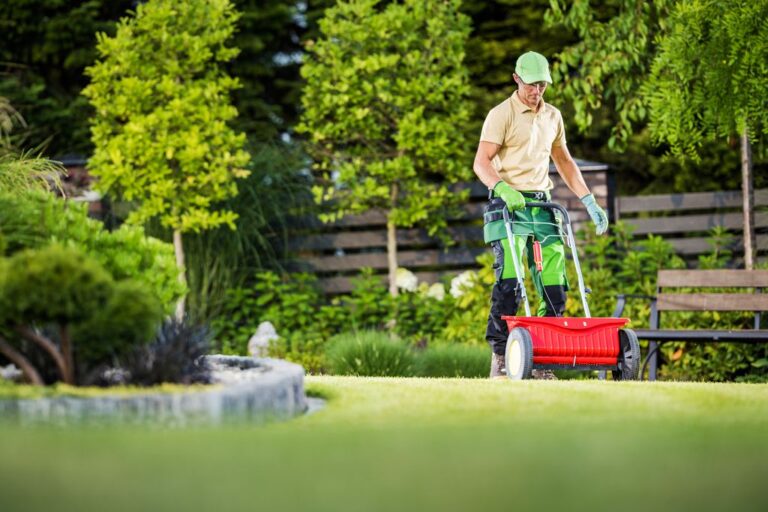 professional lawn fertilizer services