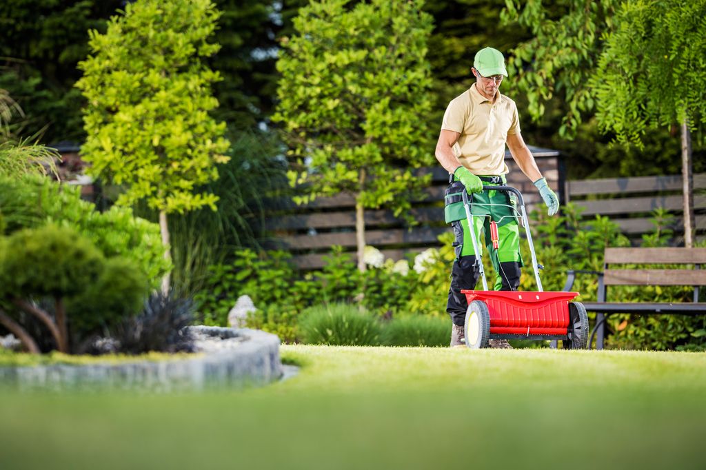 Professional gardener with lawn fertilizer.