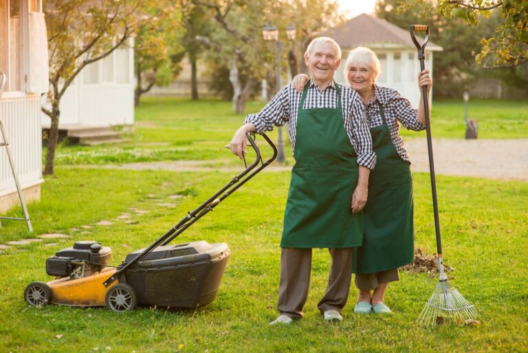 5 Essential Lawn Tools You Need for a Perfectly Manicured Yard