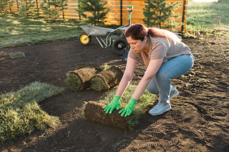 sod for lawn turf repairs