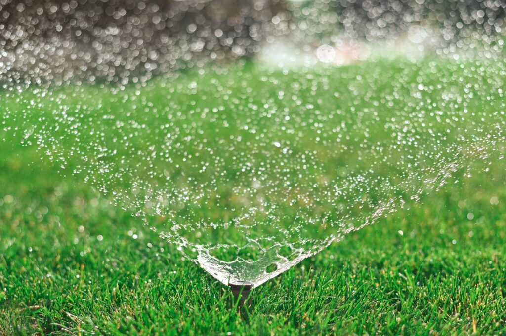 Sprinkler system irrigating a green lawn.