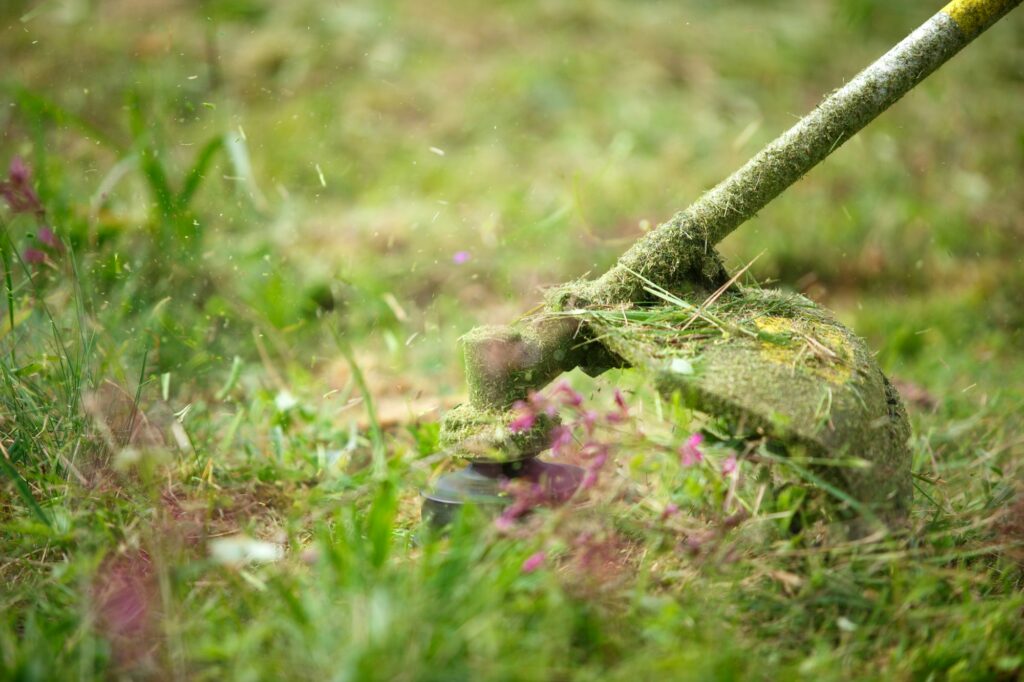 Trimer mows grass close-up. Fishing line in motion and grass particles in the air
