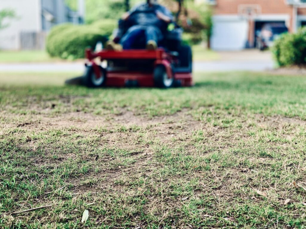 Yard maintenance work in fall