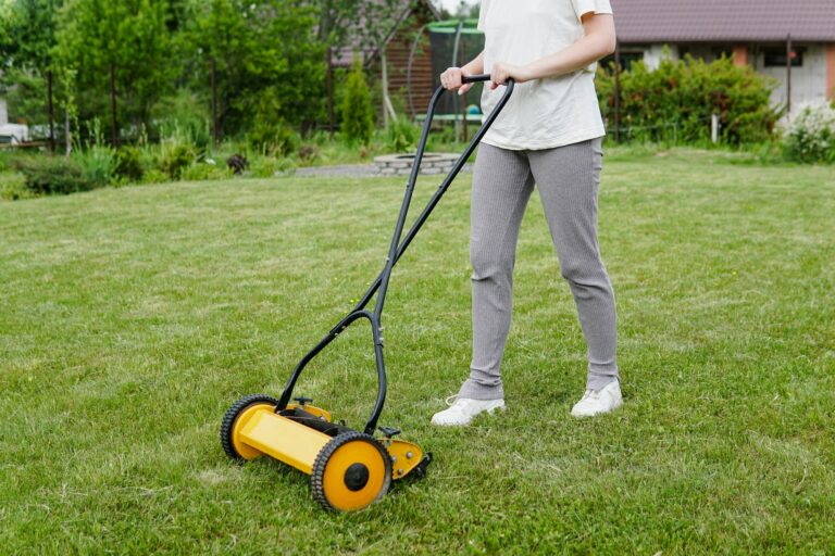 mowing the lawn with a reel lawn mower